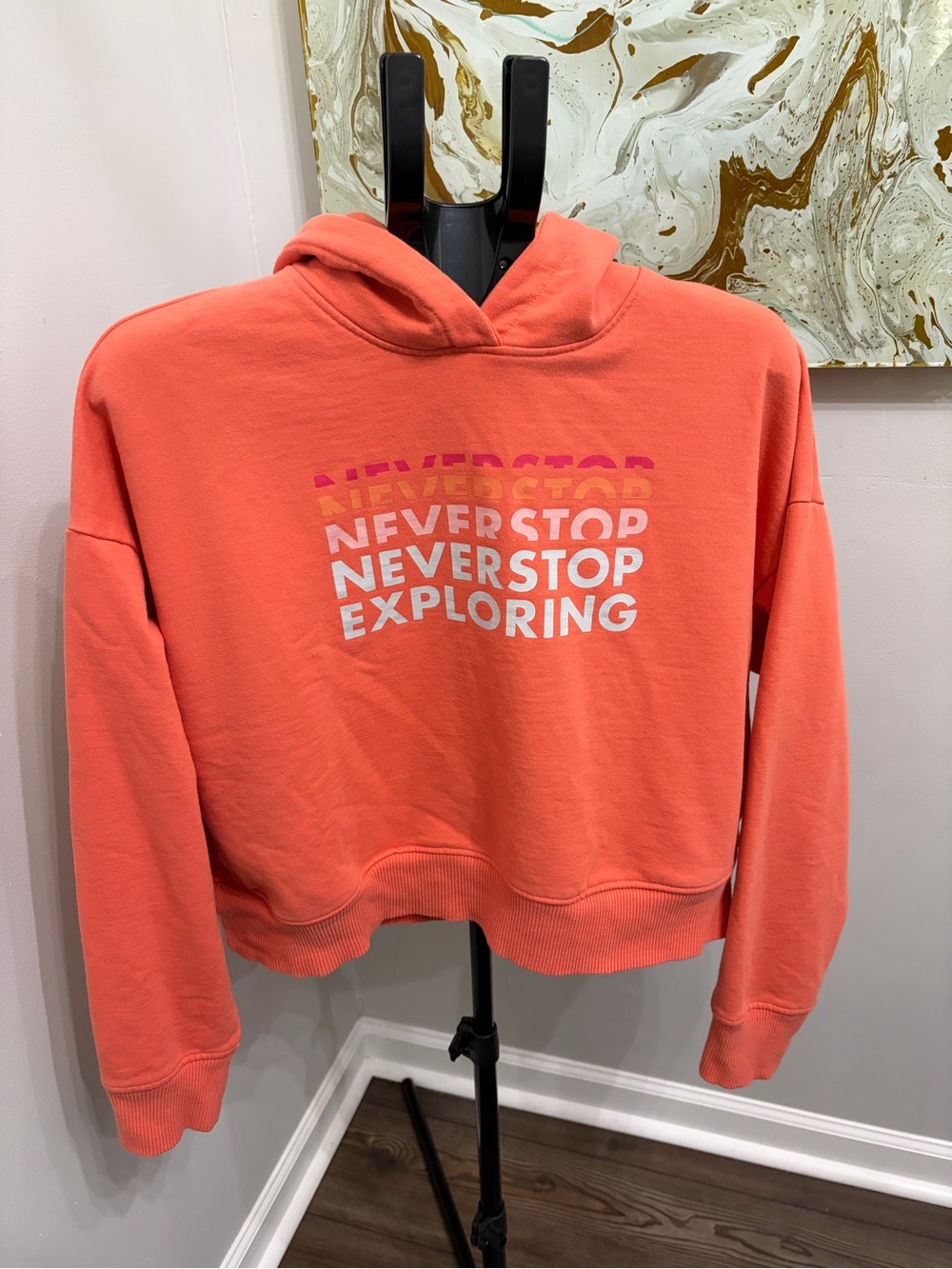 The North Face Coral Cropped Hoodie with White & Pink Logo